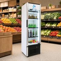 Réfrigérateur commercial à porte vitrée simple pour boissons, 215L, R290, refroidissement par ventilateur, 1,5 kWh/jour, économie d'énergie, pour supermarchés et magasins de proximité