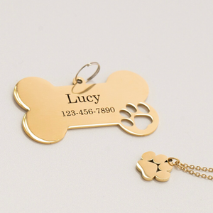 Hondenpenning met pootafdruk, bijpassende hanger, graveerbaar, roestvrij staal, cadeauset voor dierenliefhebbers - Product Image 1