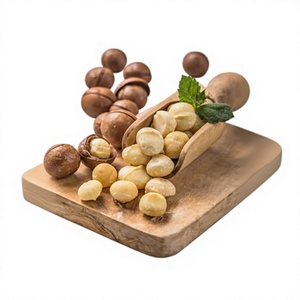 Nueces de Macadamia Orgánicas de Alta Calidad con Cáscara, las Más Vendidas, Nativas, Saludables, al por Mayor - Product Image 1