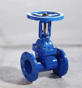 DN50-DN600 Z41X Nodular Cast Iron Rising Stem Resilient Seat Gate Valve