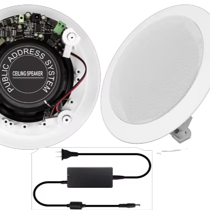 Bluetooth 5.0 Ceiling Speaker Supports App Control and EQ Adjustment, 3.5mm Audio Input, 10m Wireless Range