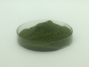 Grosir penjualan terbaik ekstrak kelor alami bubuk daun kelor kering murni - Product Image 5