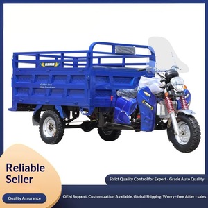 Nuovo Triciclo Elettrico a <span class=keywords><strong>Tre</strong></span> Ruote per Consegne, Vendita Ambulante, Trasporto su Montagna e Carichi Pesanti - Product Image 2