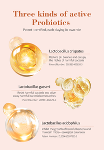 Vajinal probiyotikler 10 milyar CFU probiyotikler ve postbiyotikler vajinal Flora dengesi kadın Yoni sağlığı için bakterileri engeller - Product Image 4