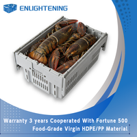 Panier à homards empilable en plastique de qualité alimentaire 600x400x300mm pour les détaillants de fruits de mer en chaîne PP