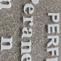 Fabrik Großhandel Lasers ch neiden Acryl Buchstaben Zeichen LED Hintergrund beleuchtung IP65 Wasserdichte Dekoration Werbung Firma Logo Empfang