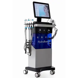 Mesin hidro oksigen 10 dalam 1, instrumen pembersih wajah profesional 2023 untuk salon kecantikan gelembung oksigen