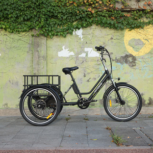 Vélo <span class=keywords><strong>électrique</strong></span> longue portée Trike adulte 36v vélo cargo <span class=keywords><strong>électrique</strong></span> <span class=keywords><strong>avec</strong></span> <span class=keywords><strong>toit</strong></span> 250w Tricycle <span class=keywords><strong>électrique</strong></span> bas prix - Product Image 5