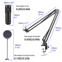 Biner A11 Professionelles USB-Aufnahmestudio-Kondensatormikrofon-Set für Live-Streaming