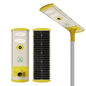 40W Powered Intelligent Wireless Private In One Outdoor Street Led Lamp Light With Solar Pv Panel