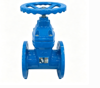 Vanne à opercule souple à structure télescopique avec verrouillage par cryptage, vanne frontale pour compteur d'eau, raccord à bride 2 pouces-16 pouces PN10
