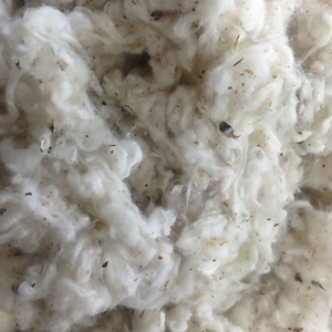 Residuos de algodón de alta calidad Lamiendo el mejor precio ofrecido por Sra. Claire - Product Image 1