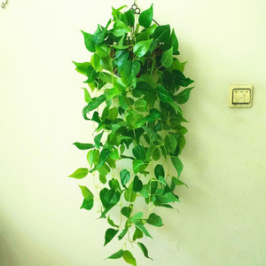 Plantes artificielles Pothos et lierre vert suspendues, décoratives pour intérieur et extérieur, pour mariages, 10cm de haut - Product Image 2