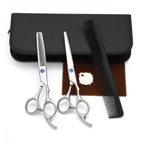 Conjunto de tijeras de peluquería de pulido de acero japonés, productos de fábrica de China, 420J2, corte y adelgazamiento - Product Image 1