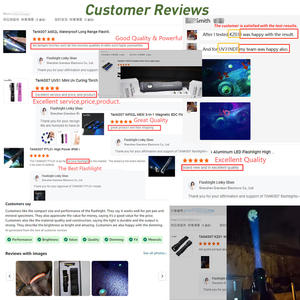 TANK007 UV6100 Lampe de poche pour taches d'urine d'animaux domestiques Détecteur de punaises de lit Lampe torche à lumière noire Rechargeable 365nm Lampe de poche Uv Led Linternas - Product Image 6