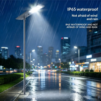 Lampadaire solaire LED étanche IP65 300W-600W en alliage d'aluminium pour autoroute, panneau solaire mono-Si DC 6V, télécommande, 50000 heures
