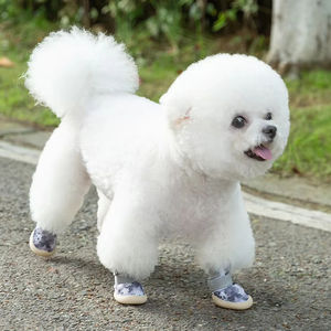 أحذية الحيوانات الأليفة من إتش دبليو - Product Image 5