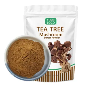 Großhandel Teebaum Pilzex trakt Polysaccharid Bio Teebaum Pilz pulver