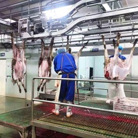 Équipement d'abattage et de transformation de la viande pour abattoirs de moutons, matériel d'abattoir