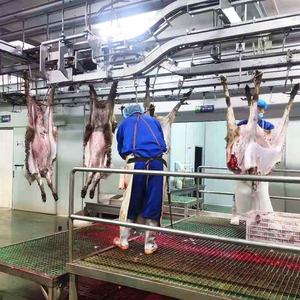 טבילת אבאטיר כבשים ועיבוד בשר ציוד בית מטבחיים - Product Image 4