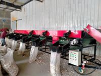 Industriële sorteermachine voor groenten, fruit en knoflook op maat gemaakt, nieuw, automatisch, met maatclassificatie, te koop