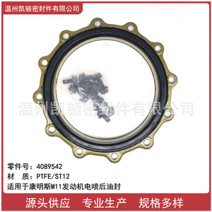 Sello de aceite trasero del cigüeñal del motor Cummins QSM11 4923644 4089542 de fluororubber para reparación - Product Image 5