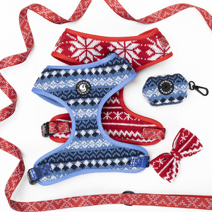 Coowone Hersteller-Maßgeschneidertes Polyester Hundegeschirr-Set Klassische Strickwaren Haustierleinen Halsbänder mit Schleifenverzierungen - Product Image 3