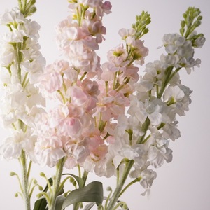 Decoración de Boda y Hogar de Alta Calidad: Flor Artificial de Narciso Delphinium Violeta Individual Hidratante con Hilo Plástico - Product Image 2