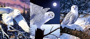 Audiographie BSCI : Affiches 3D lenticulaires d'<span class=keywords><strong>anime</strong></span> <span class=keywords><strong>sexy</strong></span>, images de dessins animés 3D érotiques, affiches 3D animées avec carton, designs d'<span class=keywords><strong>anime</strong></span> <span class=keywords><strong>sexy</strong></span> - Product Image 6