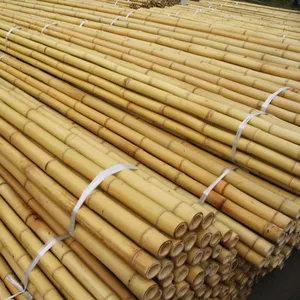 Poles de bambu tratados para venda