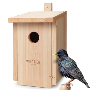 Grande boîte à nids pour stérimands, nichoir pour oiseaux, boîte à nids pour stérimands en bois massif non traité, boîte à nids pour stérimands résistante aux intempéries - Product Image 1