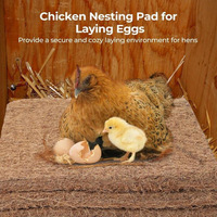 Doublures de Nid en Fibre de Coco Naturelle pour Poulaillers, Tapis de Litière pour Poules, Fournitures Avicoles pour la Ponte des Oiseaux