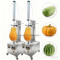Hoge Kwaliteit Papaja Peeling Machine Watermeloen Winter Dunschiller