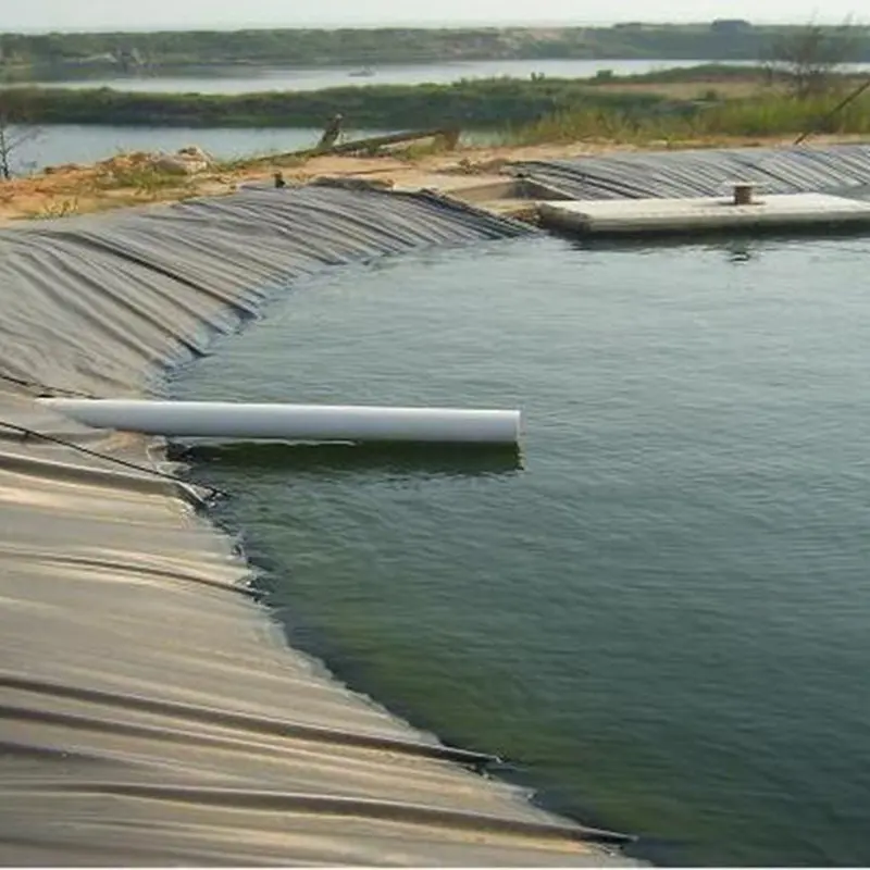 Yüksek sıcaklık geomembran polietilen levha yüzme havuzu plastik balık çiftliği tankı gölet astar 3 mm kalınlığında hdpe