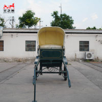 Chariot de Marathon à Deux Roues de Haute Qualité pour Chevaux, Léger, pour l'Entraînement Équestre, Chariot Tiré par des Chevaux, Carrosse de Marathon