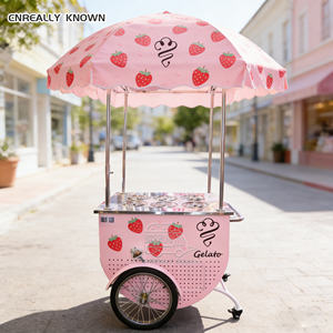 Carrito de Helados Móvil Personalizado para Festivales Callejeros, Parques, Playas, Negocios y Alquiler - Product Image 4