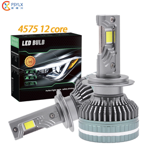 FSYLX F150 300W 30000LM H1 H4 H11 9005 9006 9012 H7 Canbus LED Phare De Voiture 600% Plus Lumineux LED Phare H11 Luces Led Auto - Product Image 1