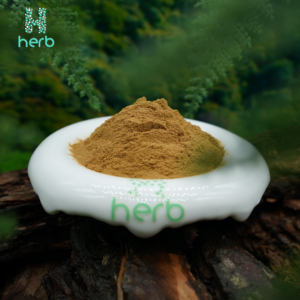 CS-4 Đông Trùng Thảo Chất Lượng Cao/Chiết Xuất Thảo Mộc Thảo Mộc/Bột Chiết Xuất Thảo Mộc Đông Trùng Thảo - Product Image 4