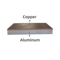 Connecteurs électriques de batterie Cu-Al CCA plat bimétallique de transition en cuivre à aluminium