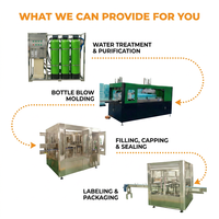 Machine professionnelle de fabrication de bouteilles et de contenants en PET, ligne de soufflage automatique de bouteilles en PET pour contenants en plastique