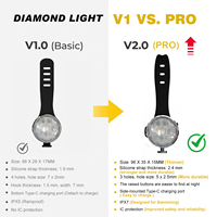 Lampe LED de sécurité pour collier de chien, étanche IPX7, rechargeable Type-C, 15 modes, pour promenade nocturne, fabriquée en usine BSCI