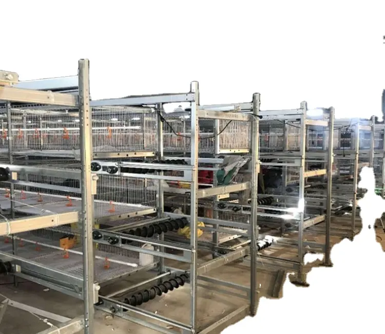 Customized capacity design layer chicken poultry battery cages price chicken cage chicken egg poultry farm