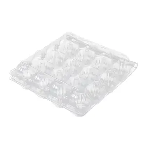 Cheap Price Plasticdeviled Qatar Styrofoam Egg Tray Machine