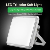 Lampe de travail LED magnétique puissante IP20 pour extérieur, éclairage d'urgence pour réparation automobile, rechargeable, longue durée, trois températures de couleur