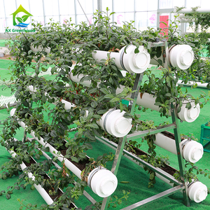 Invernaderos Pequeños con Estructura Galvanizada para Cultivo de Vegetales, Sistemas Hidropónicos Industriales con Tubería de PVC, Triangulares Verticales Estables AX149 - Product Image 5