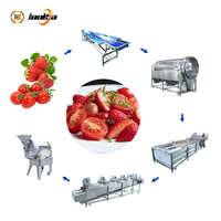 Professionele aardbeien-tomaat-groentesalade verwerkingslijn, industriële kwaliteit, hoog rendement saladeproductiesysteem