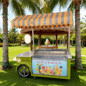 Chariot de Glaces Gourmet Personnalisé Remorquable avec Parasol, 2 Roues, Construction Métallique, Vitrine Réfrigérée pour Glaces - Product Image 6