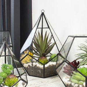 OEM All Types Handmade <b>Geometric</b> Glass <b>Terrarium</b> Kit Planter Green Plants Flowers Flowerpot Decoration Crafts <b>Terrarium</b> - Product Image 6