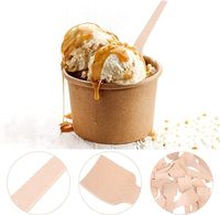 Biologisch Afbreekbaar Composteerbaar Berkenhout Wegwerp Vierkant Eindproef Schepje Yoghurt Lepel Ijs Lepel