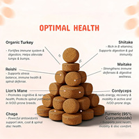 OEM/ODM Complément alimentaire à base de champignons en comprimés à croquer pour chiens, extrait 8:1, pour la peau, l'énergie et le soutien articulaire, à base de Turkey Tail et de Crinière de lion